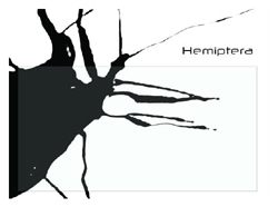 030_hemipterabugs.jpg